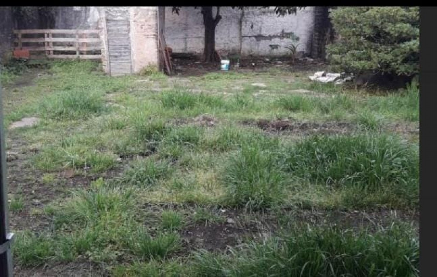 Americana 3 ambientes con fondo libre Toma auto  Oportunidad (urgente)